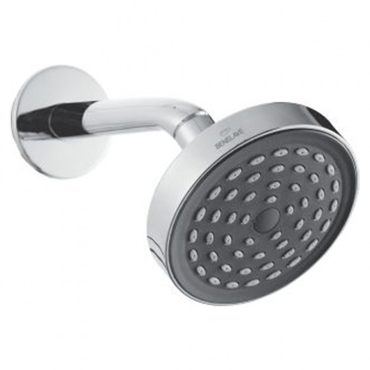 Overhead Shower with Arm & Flange - Ruby